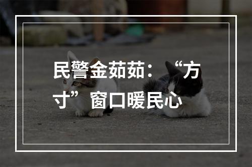 民警金茹茹：“方寸”窗口暖民心