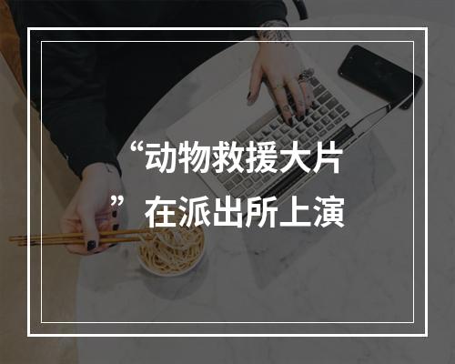 “动物救援大片”在派出所上演