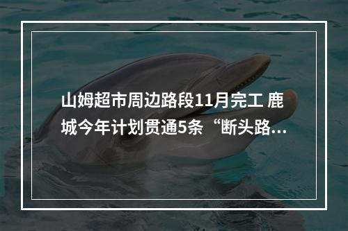 山姆超市周边路段11月完工 鹿城今年计划贯通5条“断头路”