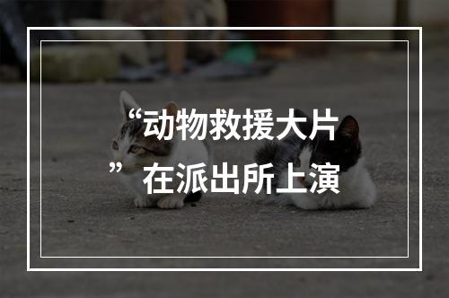 “动物救援大片”在派出所上演