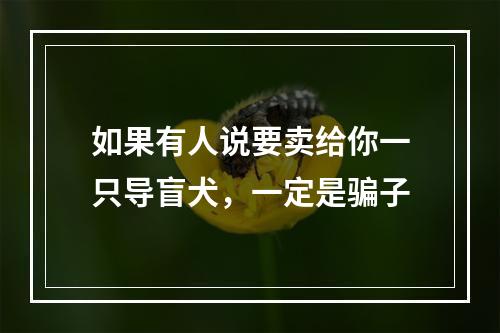 如果有人说要卖给你一只导盲犬，一定是骗子