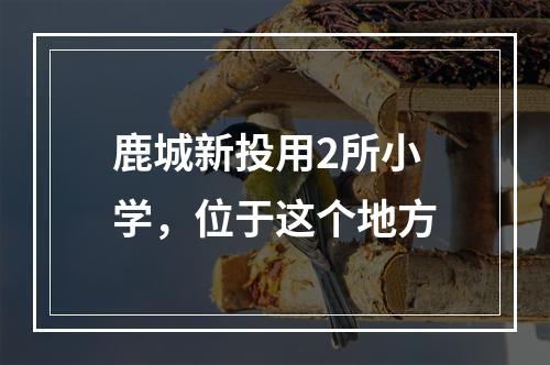 鹿城新投用2所小学，位于这个地方