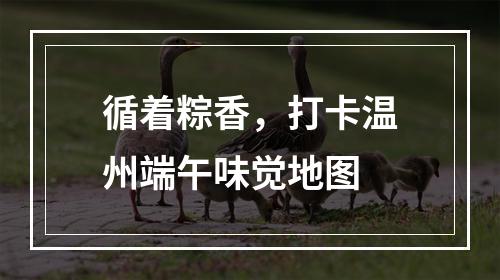 循着粽香，打卡温州端午味觉地图