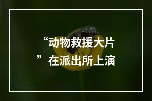 “动物救援大片”在派出所上演