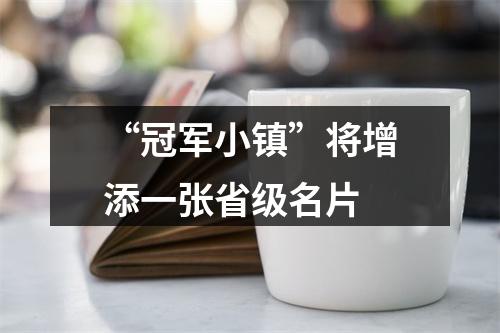“冠军小镇”将增添一张省级名片