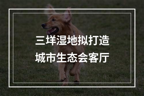 三垟湿地拟打造城市生态会客厅