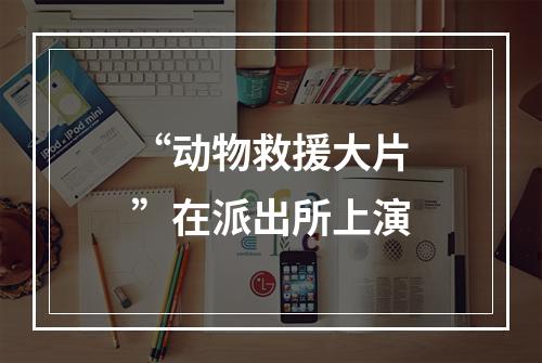 “动物救援大片”在派出所上演