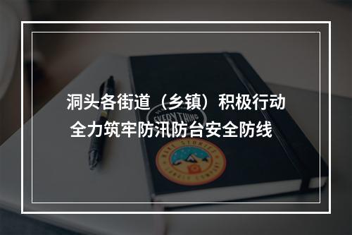洞头各街道（乡镇）积极行动 全力筑牢防汛防台安全防线