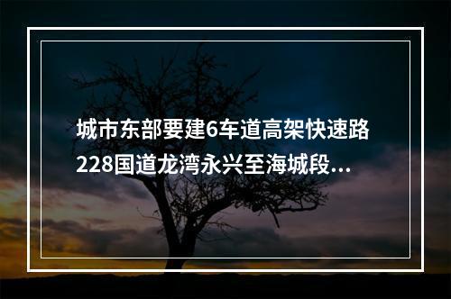 城市东部要建6车道高架快速路 228国道龙湾永兴至海城段将扩建
