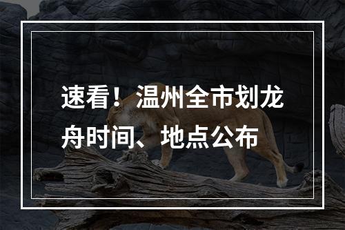 速看！温州全市划龙舟时间、地点公布