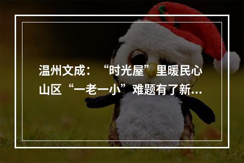 温州文成：“时光屋”里暖民心 山区“一老一小”难题有了新解法