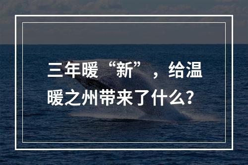 三年暖“新”，给温暖之州带来了什么？