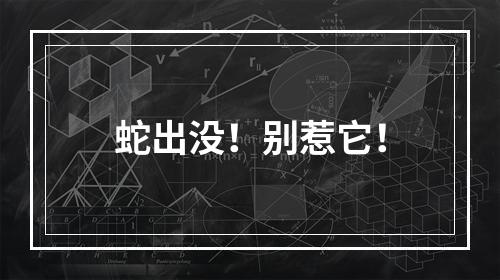 蛇出没！别惹它！