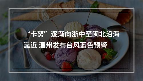 “卡努”逐渐向浙中至闽北沿海靠近 温州发布台风蓝色预警