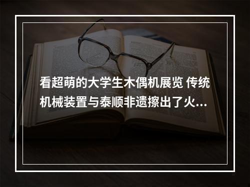 看超萌的大学生木偶机展览 传统机械装置与泰顺非遗擦出了火花