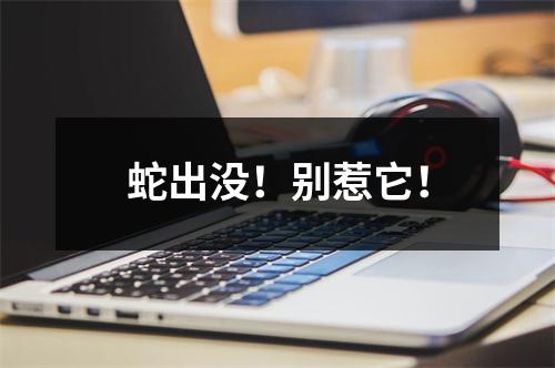 蛇出没！别惹它！