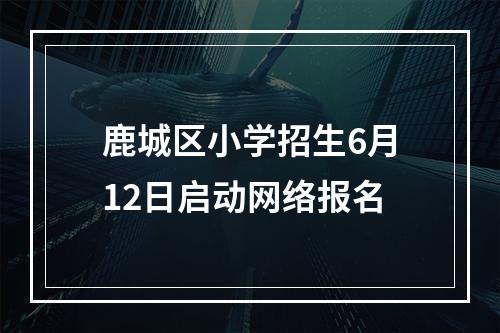 鹿城区小学招生6月12日启动网络报名
