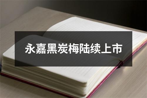 永嘉黑炭梅陆续上市
