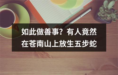 如此做善事？有人竟然在苍南山上放生五步蛇