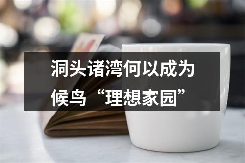 洞头诸湾何以成为候鸟“理想家园”