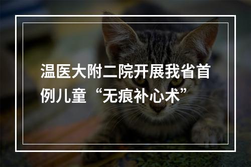 温医大附二院开展我省首例儿童“无痕补心术”