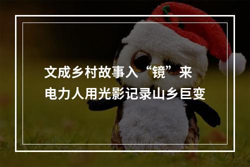 文成乡村故事入“镜”来 电力人用光影记录山乡巨变