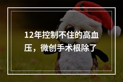 12年控制不住的高血压，微创手术根除了