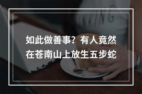 如此做善事？有人竟然在苍南山上放生五步蛇