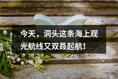 今天，洞头这条海上观光航线又双叒起航！