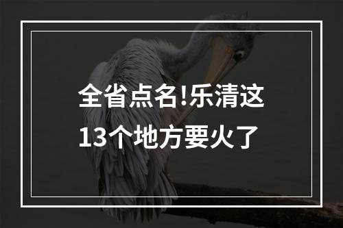全省点名!乐清这13个地方要火了