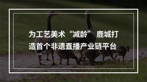 为工艺美术“减龄” 鹿城打造首个非遗直播产业链平台