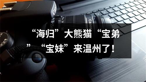 “海归”大熊猫“宝弟”“宝妹”来温州了！