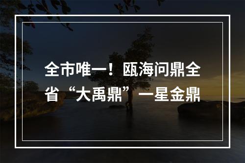 全市唯一！瓯海问鼎全省“大禹鼎”一星金鼎