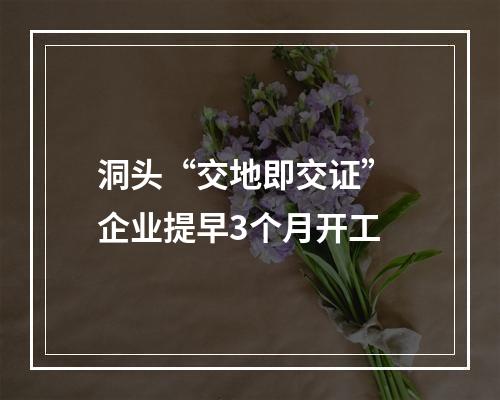 洞头“交地即交证” 企业提早3个月开工