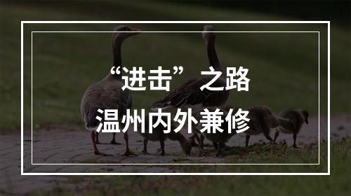 “进击”之路 温州内外兼修