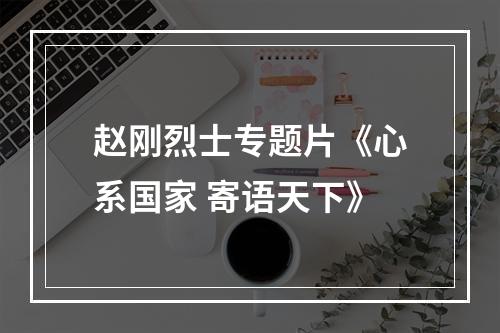 赵刚烈士专题片《心系国家 寄语天下》