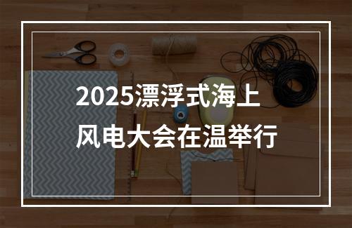 2025漂浮式海上风电大会在温举行