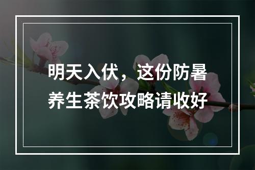 明天入伏，这份防暑养生茶饮攻略请收好