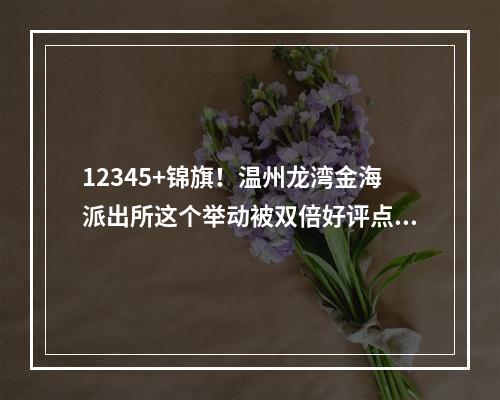 12345+锦旗！温州龙湾金海派出所这个举动被双倍好评点赞