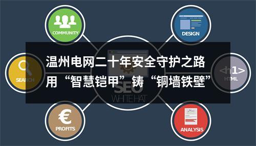 温州电网二十年安全守护之路 用“智慧铠甲”铸“铜墙铁壁”