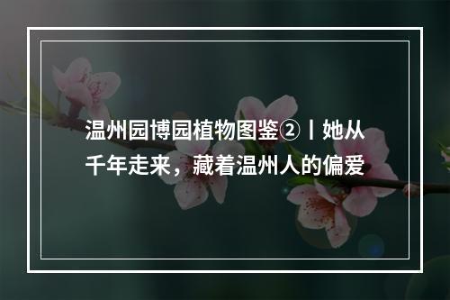 温州园博园植物图鉴②丨她从千年走来，藏着温州人的偏爱