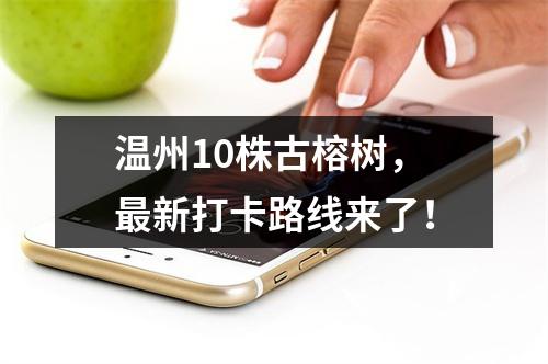 温州10株古榕树，最新打卡路线来了！