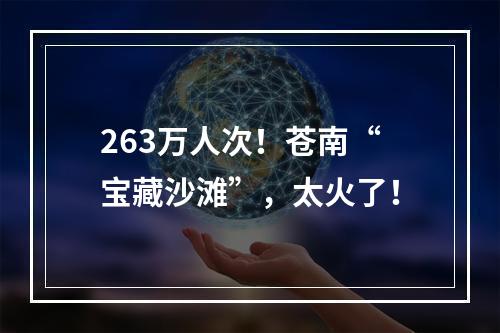263万人次！苍南“宝藏沙滩”，太火了！