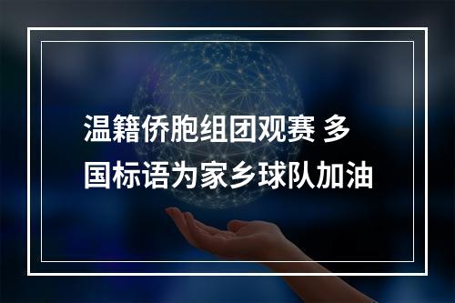 温籍侨胞组团观赛 多国标语为家乡球队加油