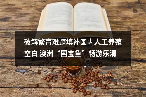 破解繁育难题填补国内人工养殖空白 澳洲“国宝鱼”畅游乐清