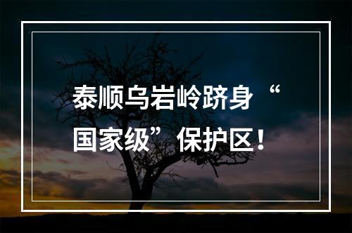 泰顺乌岩岭跻身“国家级”保护区！
