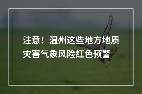 注意！温州这些地方地质灾害气象风险红色预警