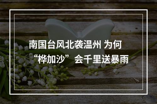 南国台风北袭温州 为何“桦加沙”会千里送暴雨