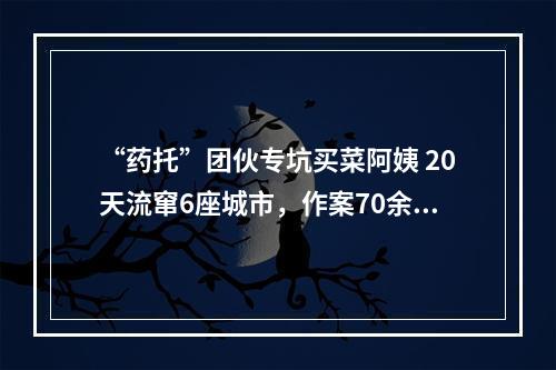 “药托”团伙专坑买菜阿姨 20天流窜6座城市，作案70余起