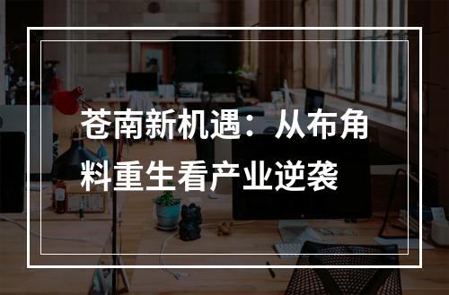 苍南新机遇：从布角料重生看产业逆袭